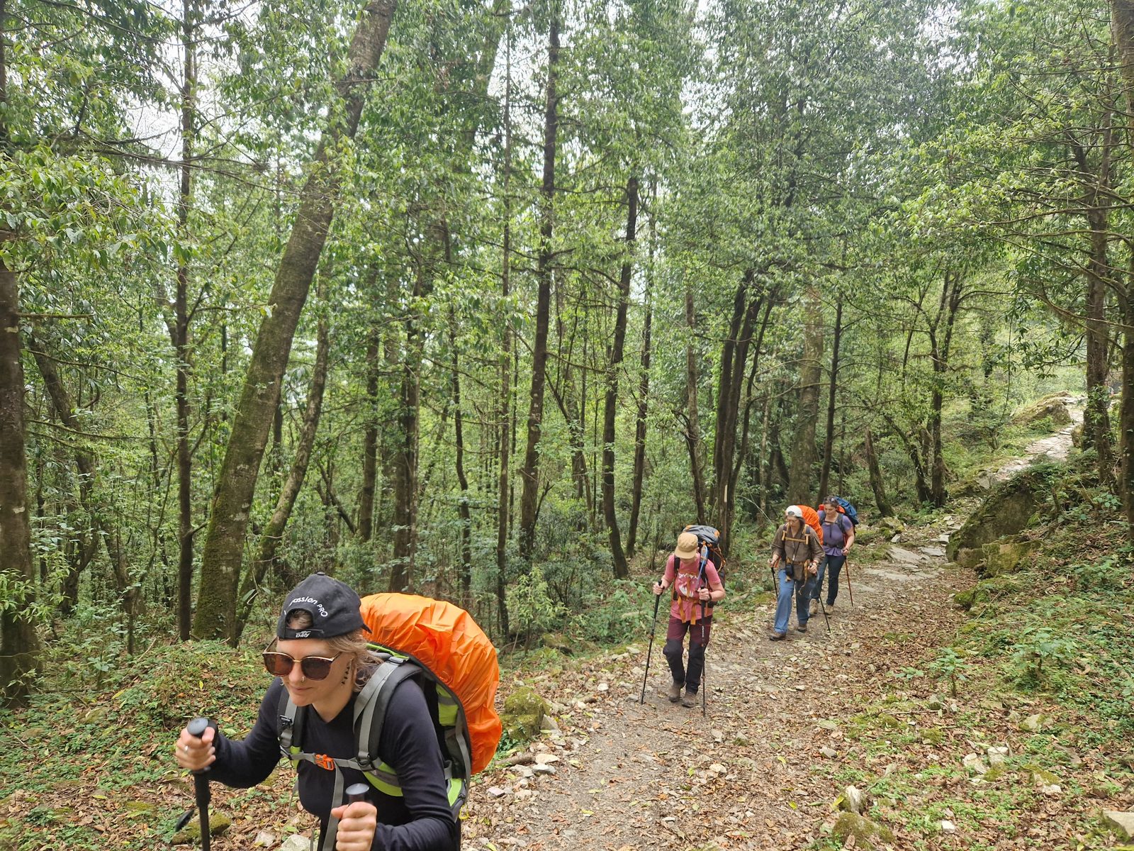 Marcheurs sac au dos sur un sentier forestier