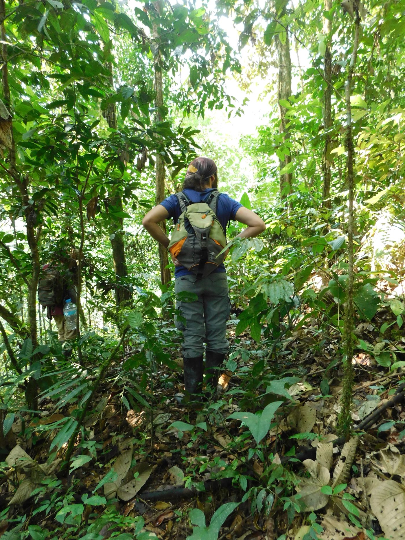 Marcheuse de dos sur un sentier en pleine forêt amazonienne