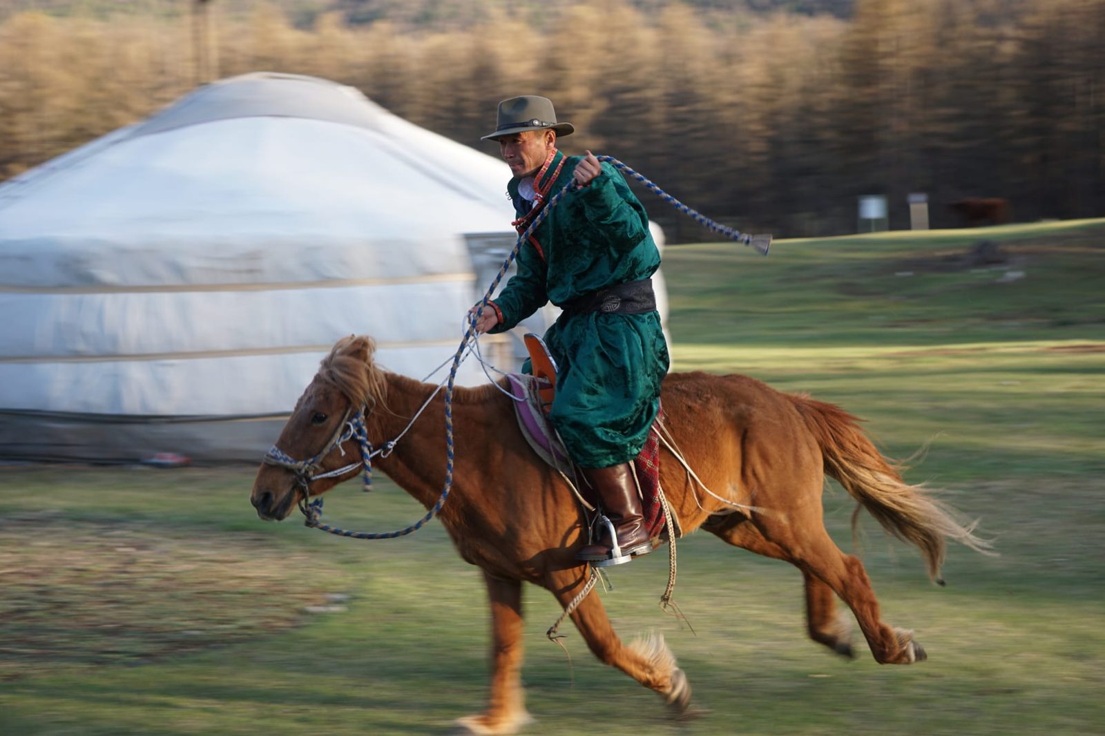 Cavalier mongol au galop devant une yourte, Mongolie