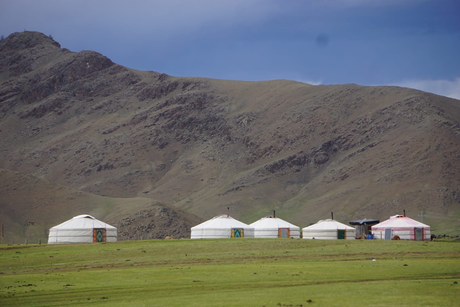 Rangée de yourtes blanches face aux montagnes mongoles